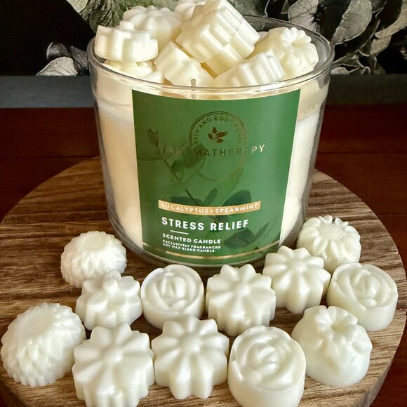 NEW WAX MELTS 2.12oz Bath and Body Works Candle Wax Melts - EUCALYPTUS SPEARMINT - Picture 1 of 3